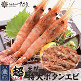 天然特大ぼたんえび 1kg～2kg 福井県越前市の魚屋 美味食卓さくだ屋