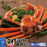 浜茹で 越前がに 選べるセット内容