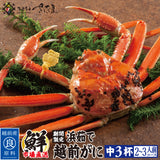 浜茹で 越前がに 選べるセット内容