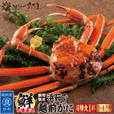 浜茹で 越前がに 選べるセット内容