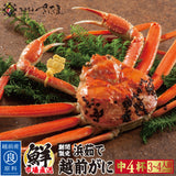 浜茹で 越前がに 選べるセット内容