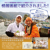 越前産 甘えび一夜干し 越前塩使用 エビ 海老 冷凍便