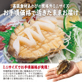 活きあわび ミニサイズ 養殖 5個～10個