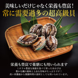 活きあわび ミニサイズ 養殖 5個～10個