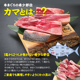 国産本まぐろテール1kg～3kg