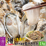 殻付き 牡蠣 カンカン焼き 生食可 選べるセット かき カキ【冷凍便】海鮮バーベキューにも