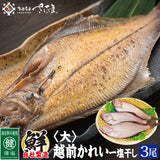 大サイズ 越前カレイ一塩干し 3尾セット 福井県越前市の魚屋 美味食卓さくだ屋