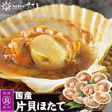 国産 片貝ほたて 殻付きホタテ 10枚～30枚 福井県越前市の魚屋 美味食卓さくだ屋