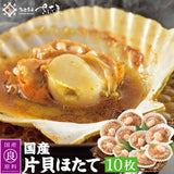 国産 片貝ほたて 殻付きホタテ 10枚～30枚