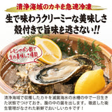 殻付き 牡蠣 カンカン焼き 生食可 選べるセット かき カキ【冷凍便】海鮮バーベキューにも