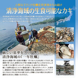 殻付き 牡蠣 カンカン焼き 生食可 選べるセット かき カキ【冷凍便】海鮮バーベキューにも