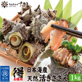 日本海産 天然 活さざえ1kg～3kg 冷蔵