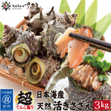 日本海産 天然 活さざえ1kg～3kg 冷蔵