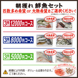 朝獲れ鮮魚セット　選べるコース