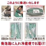 朝獲れ鮮魚セット　選べるコース