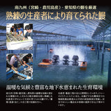 特大 国産うなぎ蒲焼き 1～3尾