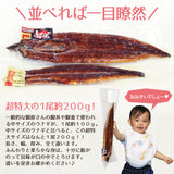 特大 国産うなぎ蒲焼き 1～3尾