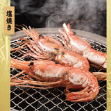 天然特大ぼたんえび 1kg～2kg