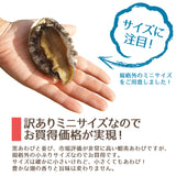蝦夷アワビ 養殖  3個～9個 冷凍便