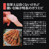 日本海産 がらえび ガラエビ  生食用 1kg