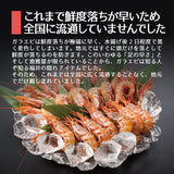 日本海産 がらえび ガラエビ  生食用 1kg