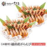日本海産 がらえび ガラエビ  生食用 1kg 福井県越前市の魚屋 美味食卓さくだ屋