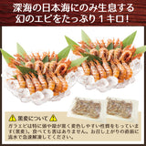 日本海産 がらえび ガラエビ  生食用 1kg