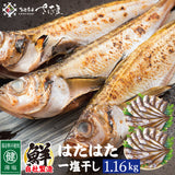 大きめ越前はたはた一塩干し