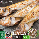 大きめ越前はたはた一塩干し