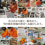 海鮮丼 旬の魚で作る海鮮漬けおまかせセット 3種～6種 冷凍便  漬け 小分け 海鮮丼の具 魚介類 水産加工品 送料無料