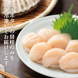 徳用1kg～3kg 北海道産 お刺身用生ホタテ 貝柱 無選別