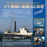 広島県産大粒バラ冷凍牡蠣 2kg
