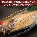 大サイズ 越前カレイ一塩干し 3尾セット