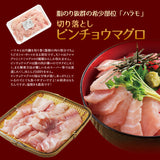 マグロ切り落とし２種 ビンチョウハラモとバチ赤身 合計600ｇ