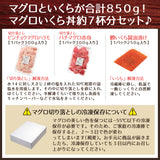 マグロ切り落とし２種 ビンチョウハラモとバチ赤身 とイクラ醤油漬けセット