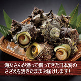 日本海産 天然 活さざえ1kg～3kg 冷蔵