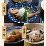 朝獲れ鮮魚セット　選べるコース