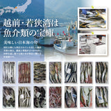 朝獲れ鮮魚セット　選べるコース