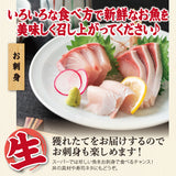 朝獲れ鮮魚セット　選べるコース