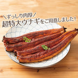 特大 国産うなぎ蒲焼き 1～3尾