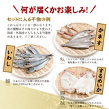 訳あり 干物セット 4種 1kg 福井県越前市の魚屋 美味食卓さくだ屋