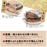 訳あり 干物セット 4種 1kg 福井県越前市の魚屋 美味食卓さくだ屋