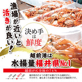 浜茹で 越前がに 選べるセット内容