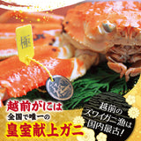 浜茹で 越前がに 選べるセット内容